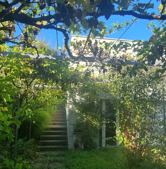 Lehmann Gartenbau (12)