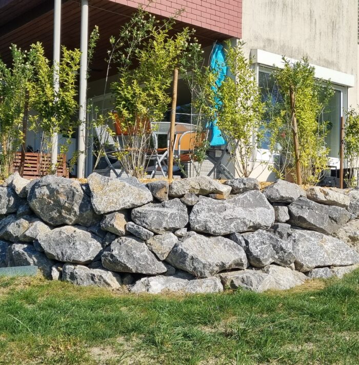 Lehmann Gartenbau (14)